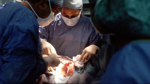 Trasplantan por primera vez riñón de un cerdo genéticamente modificado a un humano