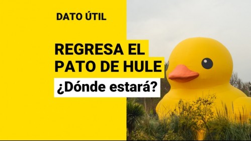 Vuelve el pato de hule: ¿Desde cuándo y en qué lugar de Santiago estará?