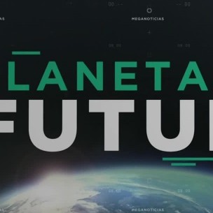 Planeta Futuro - Plantas para cultivar carne Planeta Futuro - Plantas para cultivar carne