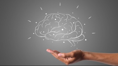 Estas son las claves para entrenar tu cerebro, según una experta