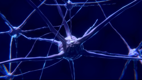 Puede dañar el cerebro: Nuevo estudio descubrió que el coronavirus podría afectar la función cognitiva