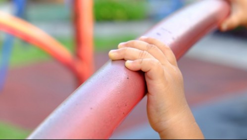 Niño de 3 años muere al ser salvajemente atacado por perro que su familia acababa de adoptar