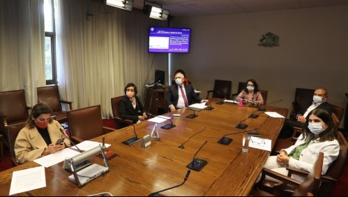 Despenalización del aborto: Proyecto es aprobado en particular por comisión de la Cámara de Diputados