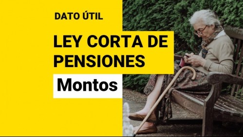 Ley Corta de Pensiones: ¿Cuáles serían los nuevos montos?