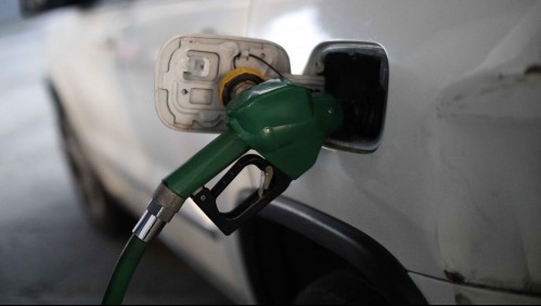 Congelan el precio de las bencinas en la región de Magallanes