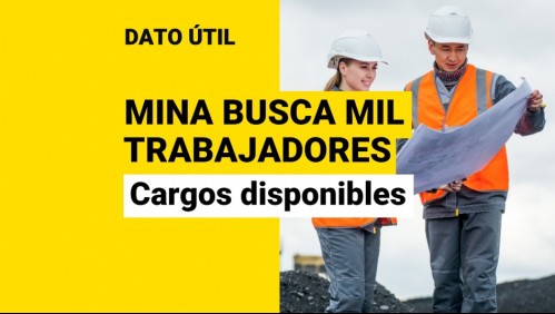 Minera ofrece sueldos desde $690.000: Estos son los cargos que están disponibles
