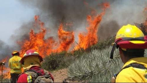 Incendio forestal ha consumido más de 160 hectáreas en la comuna de Paine