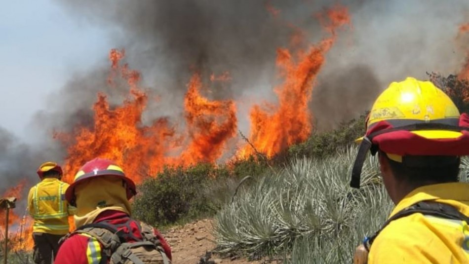 Incendio forestal ha consumido más de 160 hectáreas en la comuna de Paine
