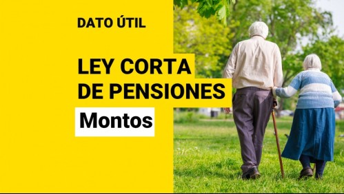 Ley Corta de Pensiones: ¿En cuánto subirían las jubilaciones?