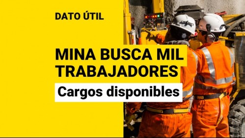 Minera ofrece sueldos desde $690 mil: ¿Qué cargos están disponibles?