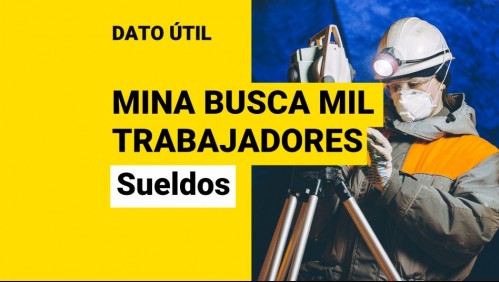 Minera busca a mil trabajadores: ¿Quiénes pueden recibir un sueldo de hasta $1,8 millones?