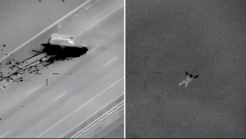 El impactante video de un ladrón que estrella su auto contra un puente y salta al vacío para escapar de la policía