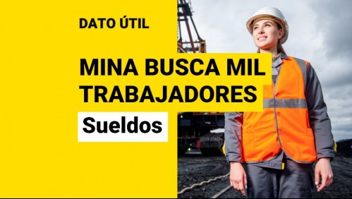 Minera busca a mil trabajadores: ¿Quiénes reciben hasta $1,8 millones de sueldo?