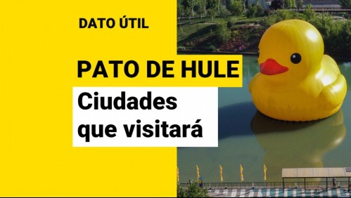 El pato de hule gigante sale de gira: ¿En qué otras ciudades del país estará?