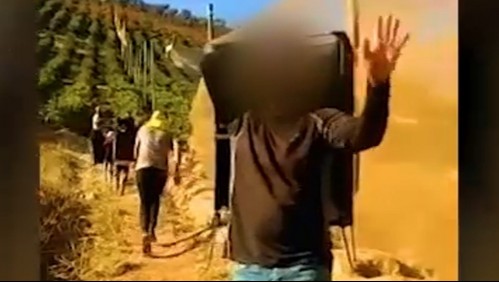 Trabajadores venezolanos denuncian haber sido engañados para trabajar en el campo chileno