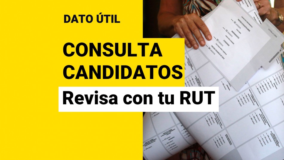 consulta-candidatos consulta candidatos