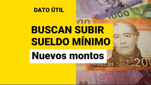 Propuesta para aumentar el sueldo mínimo: ¿Cuánto subiría y cuál sería el nuevo monto?