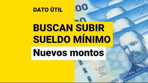 Propuesta para subir el sueldo mínimo: ¿En cuánto aumentarían los salarios?