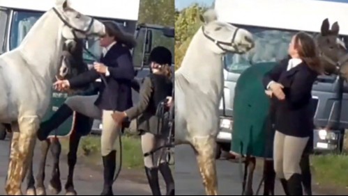 Profesora de primaria protagonizó violento hecho de maltrato animal contra un caballo: Fue grabada y expulsada