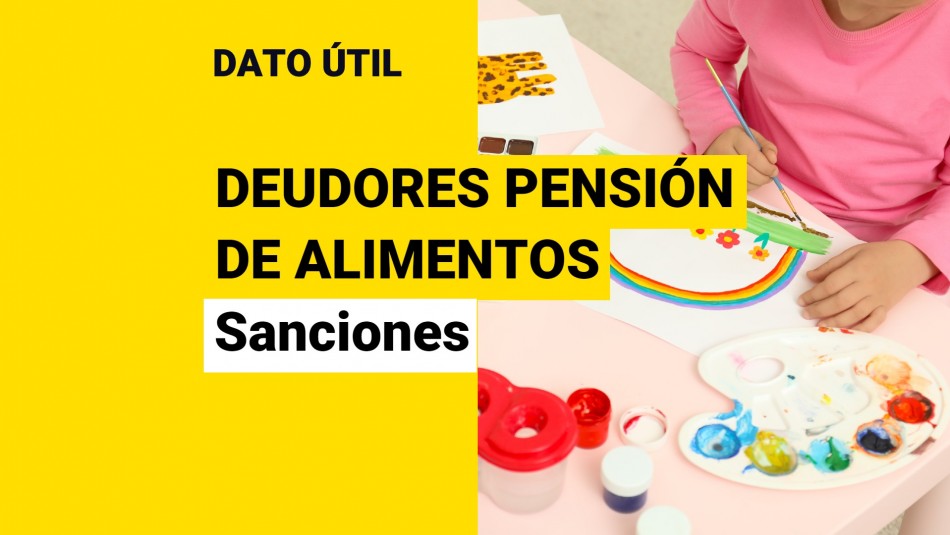 registro-nacional-de-deudores-de-pensiones-de-alimentos registro nacional de deudores de pensiones de alimentos