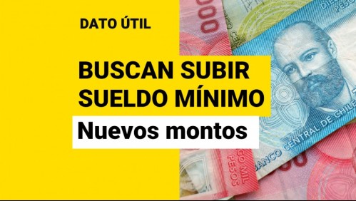 Propuesta para aumentar el sueldo mínimo: ¿Cuánto subirían los salarios?