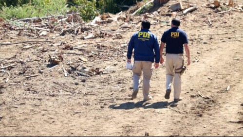 Niño de 5 años desaparecido en Viña del Mar sería buscado incluso en Colombia ante posible sustracción de su madre