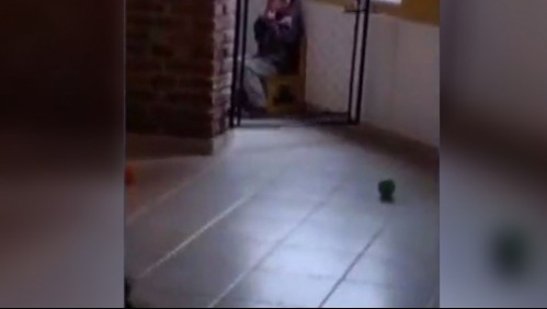 'Para que no contagie el llanto': La insólita razón por la que cuidadora encerró a un pequeño en el rincón de una cocina