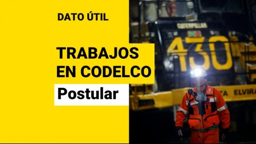 Trabajos en Codelco: Revisa los puestos a los que puedes postular