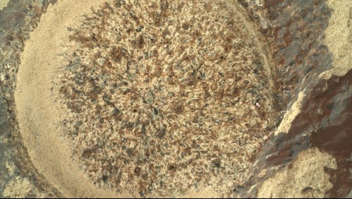 'Algo nunca antes visto': Esto es lo que el rover Perseverance descubrió bajo una roca marciana