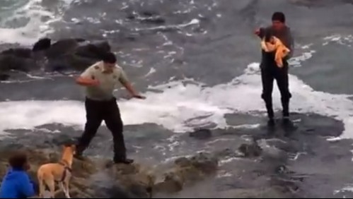 Rescate de lactante de 11 días en Iquique: ¿Por qué su padre sacó un cuchillo ante Carabineros?