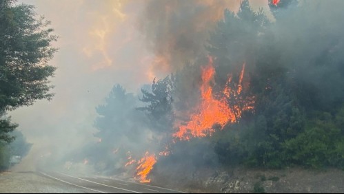 Onemi declara Alerta Roja para comuna de Litueche por incendio forestal: Se encuentra cercano a sectores poblados