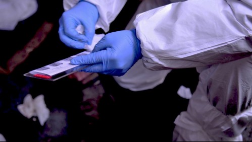 Identifican cadáver hallado en la calle: presenta lesiones en la cabeza provocadas con un elemento contundente