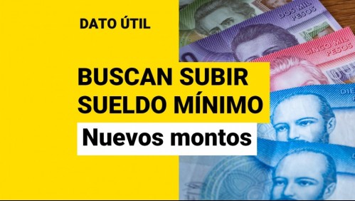 Propuesta para aumentar el sueldo mínimo: ¿Cuánto subiría y cuál sería el nuevo monto?