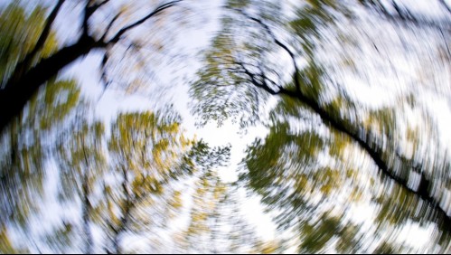 Estos son los síntomas que puedes sentir si tienes vértigo