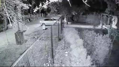 Videos muestran los últimos momentos de Lilian Galleguillos antes de desaparecer y ser encontrada muerta