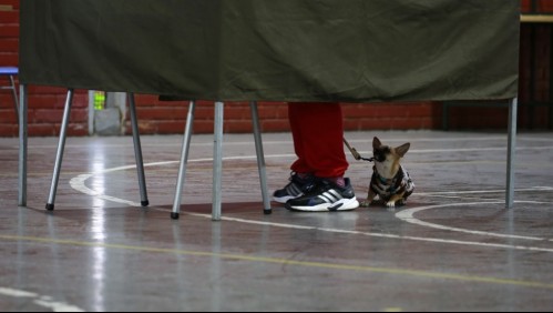 ¿Dónde voto? Revisa con tu RUT cuál es tu local de votación en estas elecciones