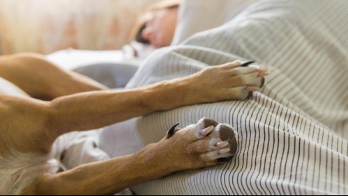 Estos son los beneficios y problemas de dormir con tu perro, según los expertos