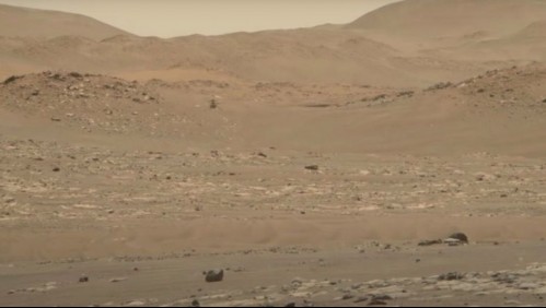 Video de la NASA capta vuelo de helicóptero en Marte