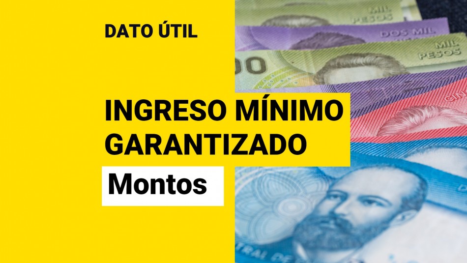 ingreso-minimo-garantizado ingreso minimo garantizado