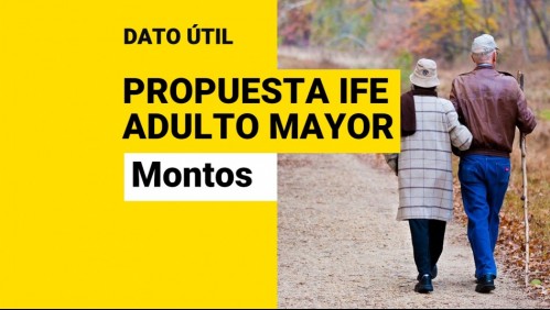 Propuesta IFE Adulto Mayor: ¿Cuánto dinero se entregaría a los beneficiarios?