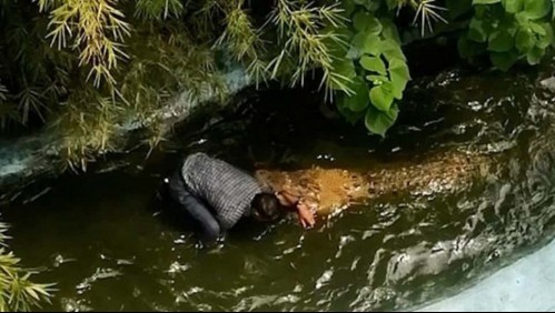 Hombre es atacado por cocodrilo mientras se tomaba una selfie: pensaba que era de plástico