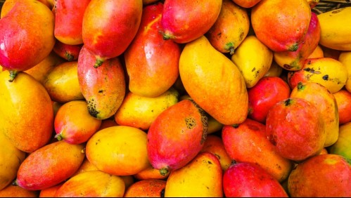 Estas son las frutas que debes comer si tienes deficiencia de vitamina E