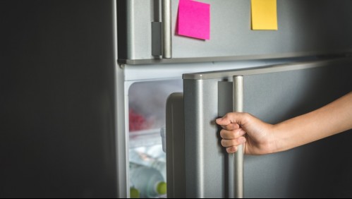 Mujer limpiaba su refrigerador y encuentra el cuerpo de un bebé congelado en su interior