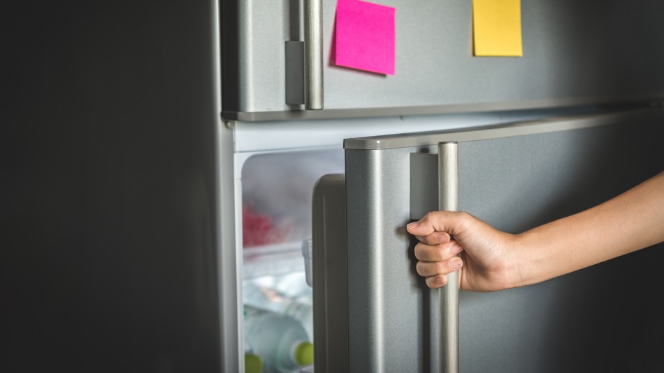 Mujer limpiaba su refrigerador y encuentra el cuerpo de un bebé congelado en su interior