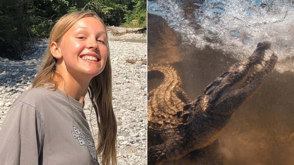 Joven fue atacada y arrastrada al agua por un cocodrilo: Un amigo la salvó tras pelear con el reptil