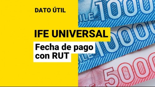 IFE Universal: Revisa con tu RUT la fecha exacta del último pago