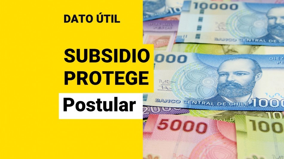 Subsidio Protege: ¿Cómo puedo postular a los $200 mil mensuales?