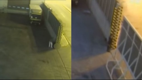 Niña es aplastada tras quedar atrapada en una puerta mecánica