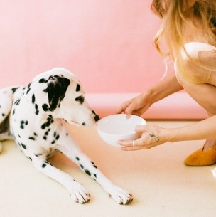 Vitaminas para perros: Esto es lo que debes saber sobre sus nutrientes esenciales Vitaminas para perros: Esto es lo que debes saber sobre sus nutrientes esenciales