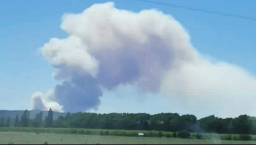 Onemi declara Alerta Roja por incendio forestal en Nacimiento: hay 'amenaza directa' a viviendas